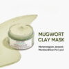 Skintific Mugwort Anti Acne Clay Mask