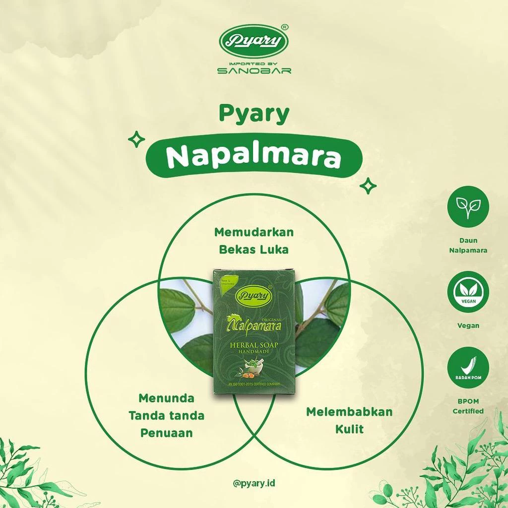 Sabun Pyary Nalpamara Herbal Soap 1 Sabun Pyary Nalpamara Herbal Soap - Gambar 4