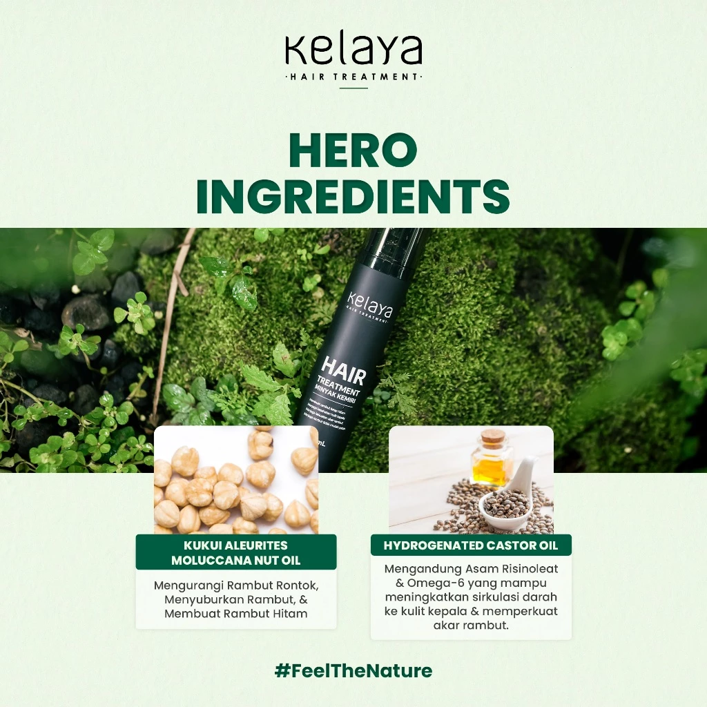 Kelaya Minyak Kemiri Penumbuh Rambut 7 Kelaya Minyak Kemiri Penumbuh Rambut 50ml - Gambar 2