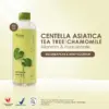 Autumn Centella Asiatica Toner Skin Conditioner 500ml - Gambar 2